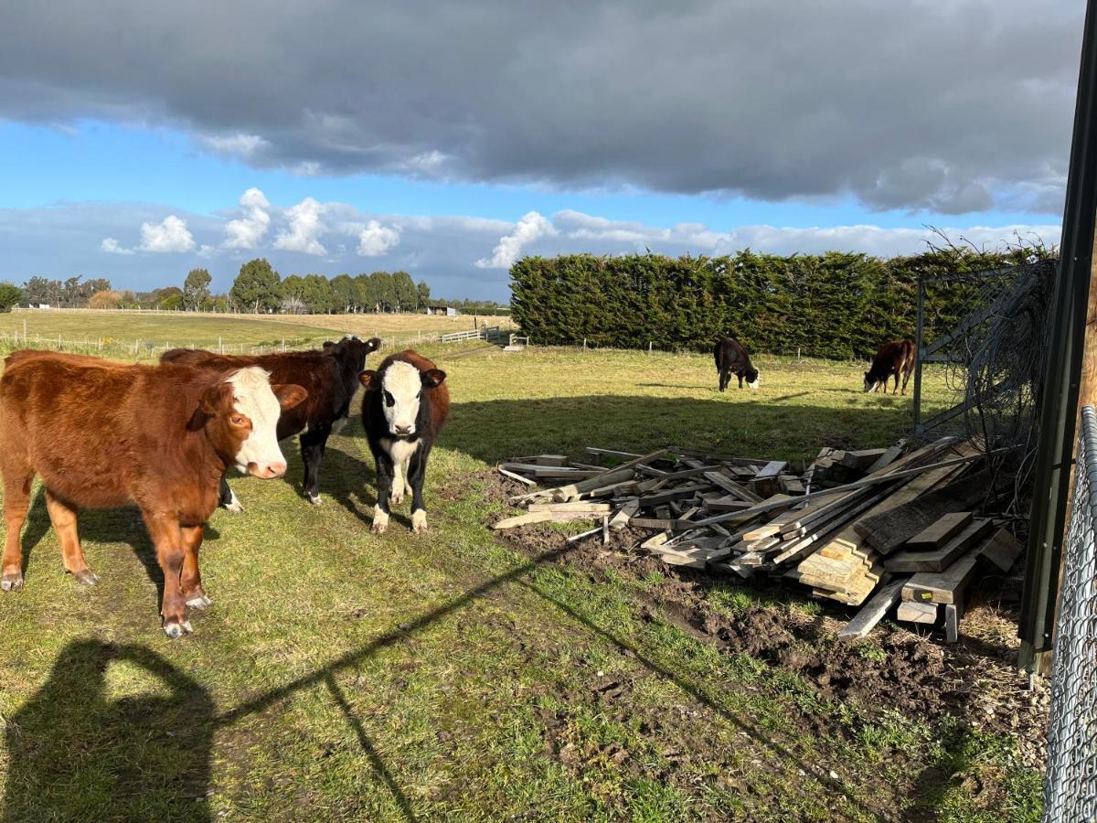 Ra-Ata Farm Bed & Breakfast Rangiora Exterior photo